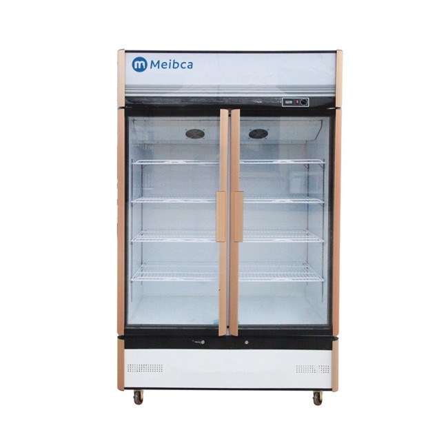 Perbedaan Refrigerator Dan Freezer Modern